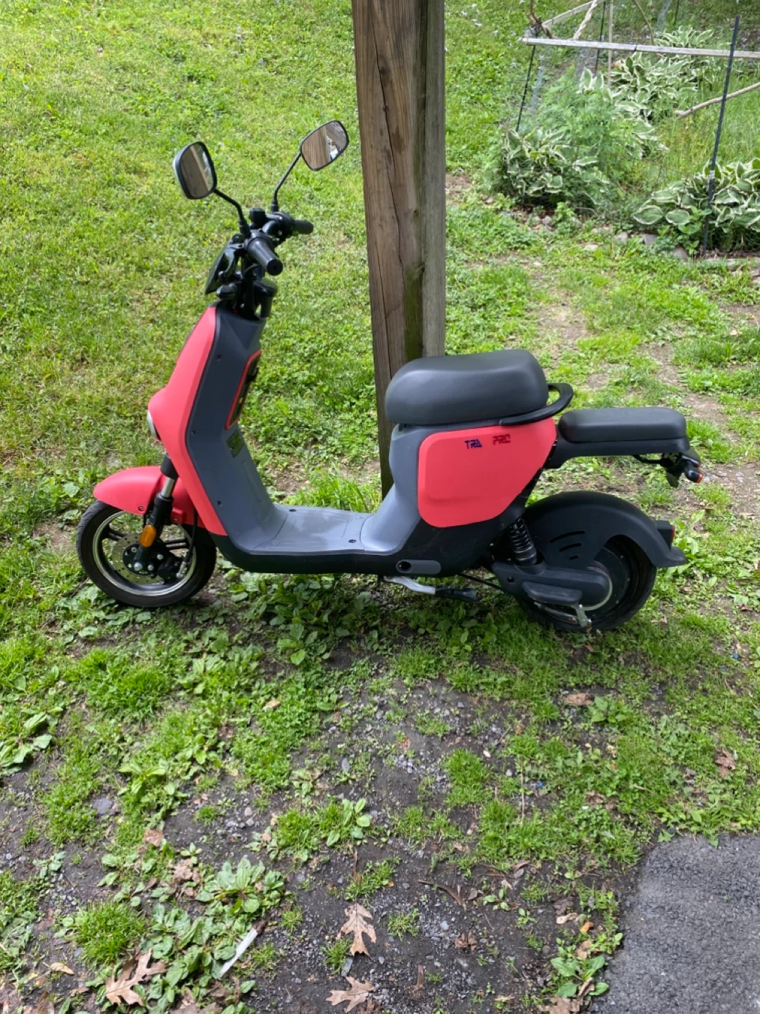 Red & Gray Electric Scooter