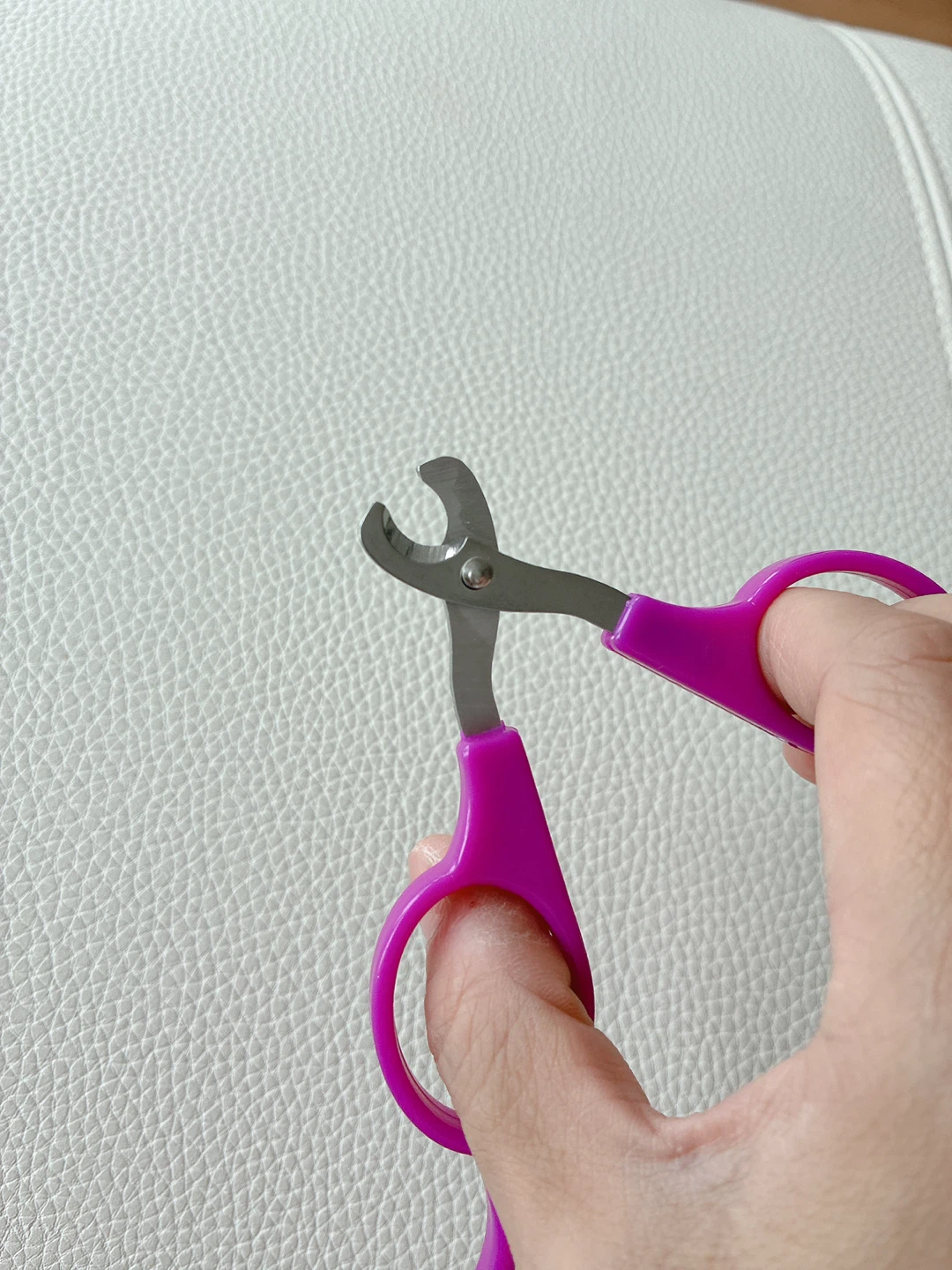 Pet Nail Clippers - Small Animal Trimmer - photo 2