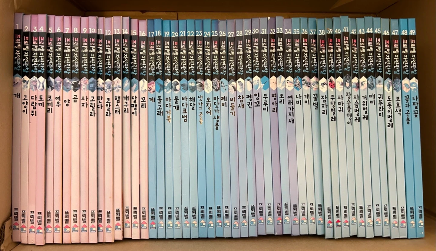 📚 프뢰벨 자연관찰 전집 80권 + Parent’s Guide 포함