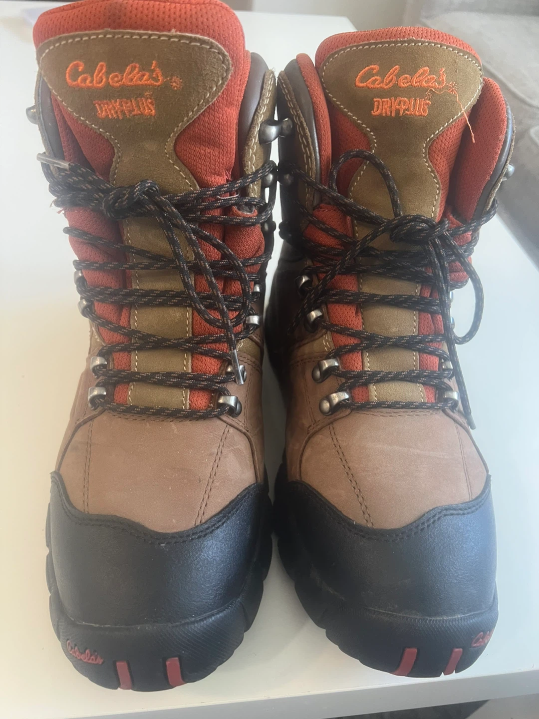 Cabela's Dry Plus mens Boots