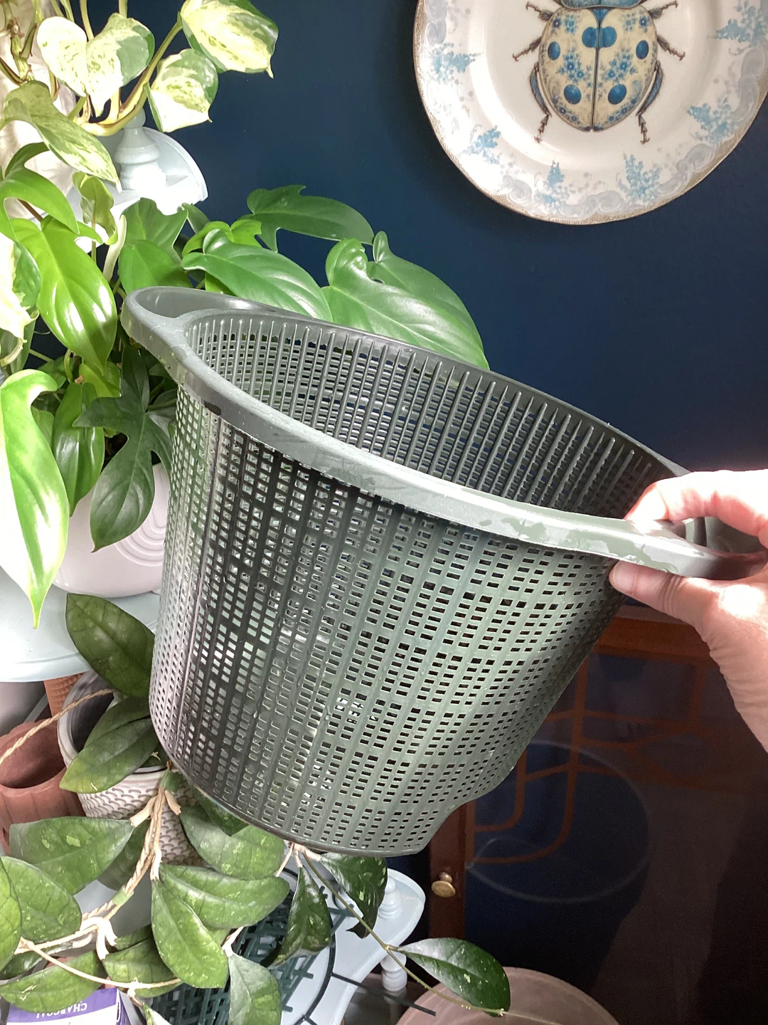 9.5” Net Pot