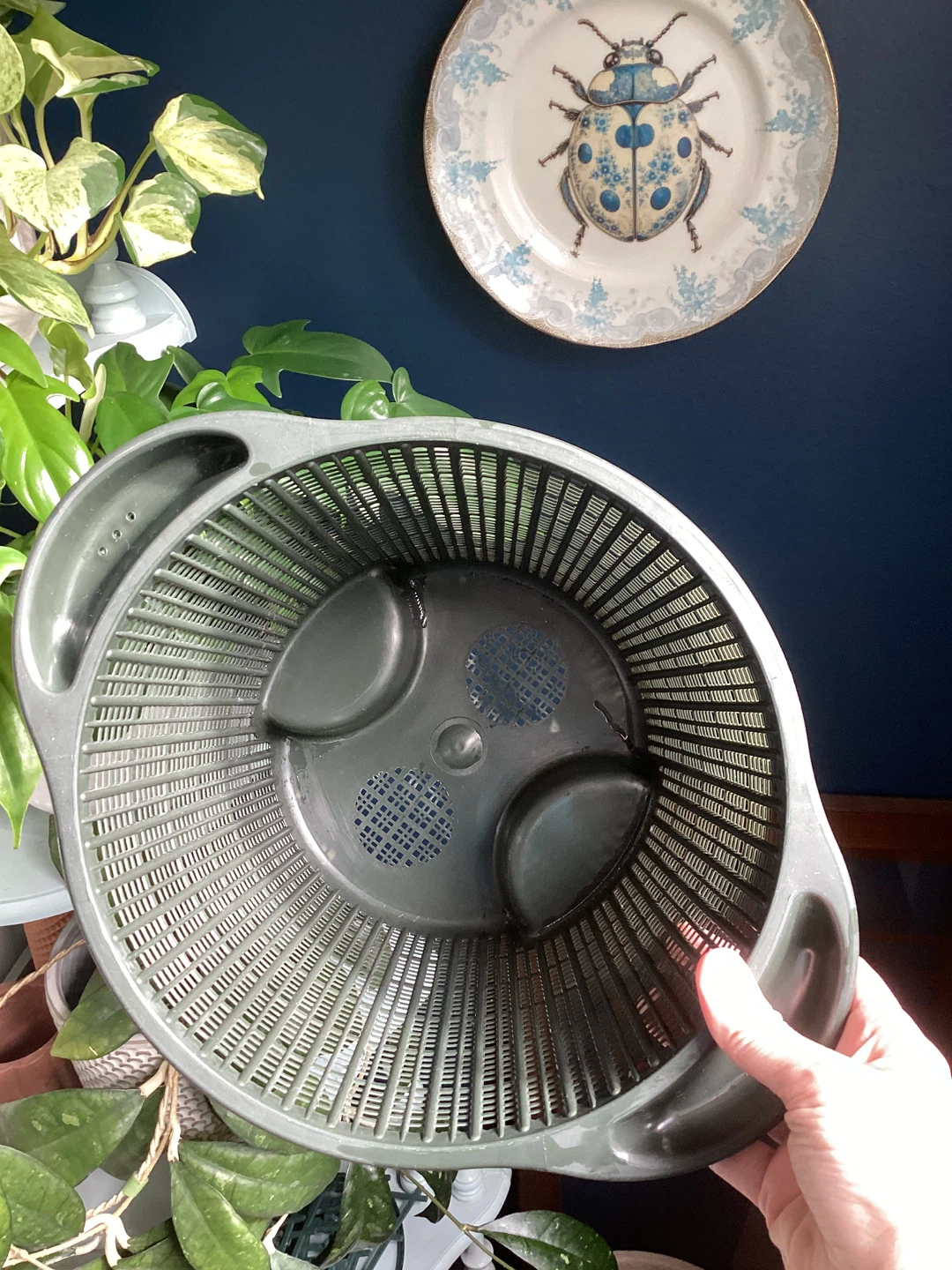 9.5” Net Pot - photo 2