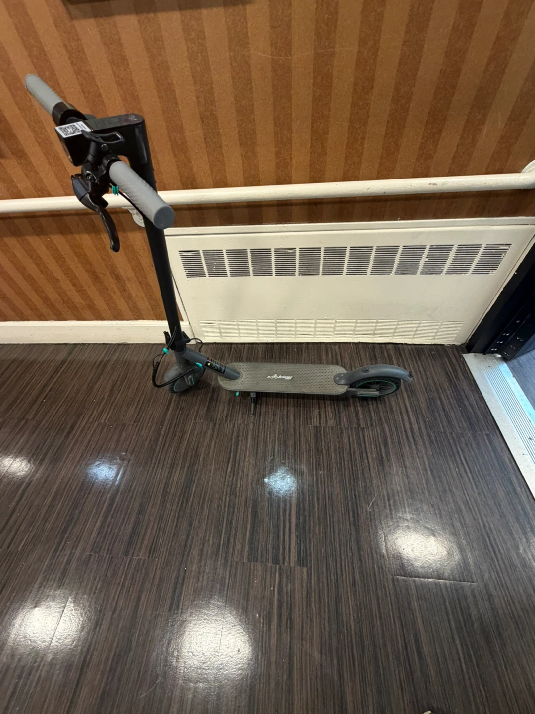 Gotrax Electric Scooter