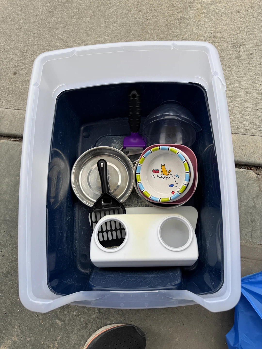 Pet Carrier and Cat Litter Box Bundle