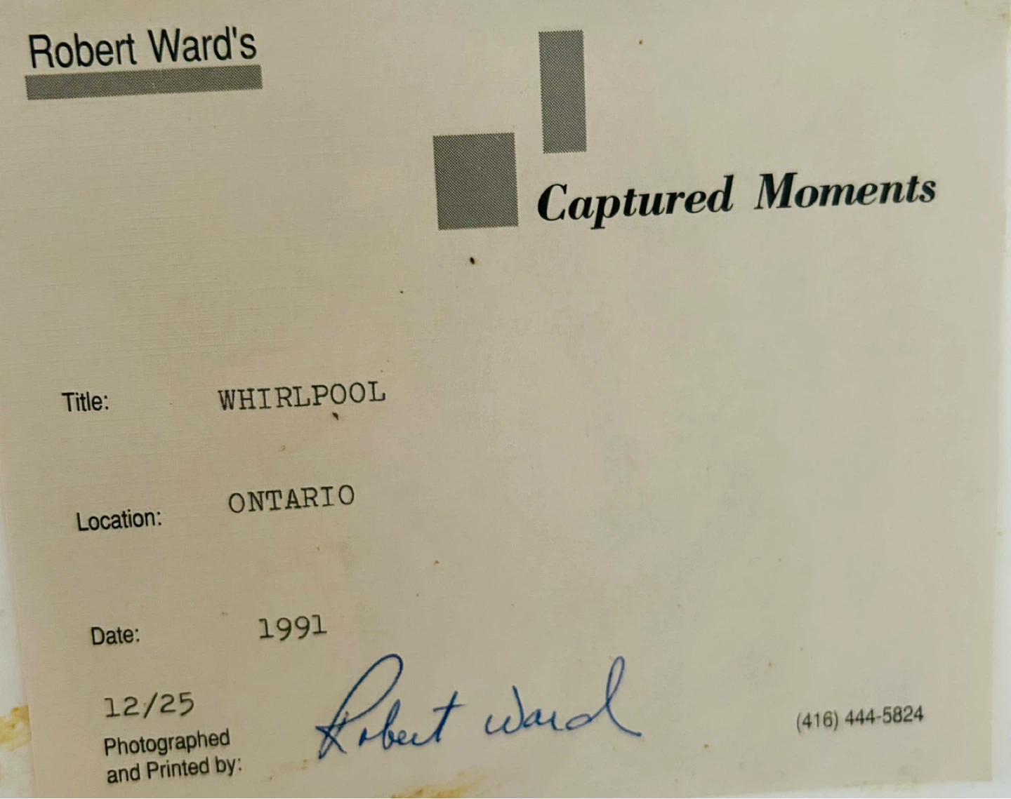 Robert Ward "Whirlpool" Loon Photograph - photo 3