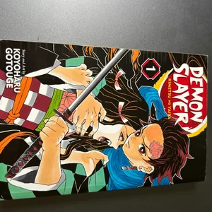 Demon Slayer: Kimetsu no Yaiba Vol. 1 Manga