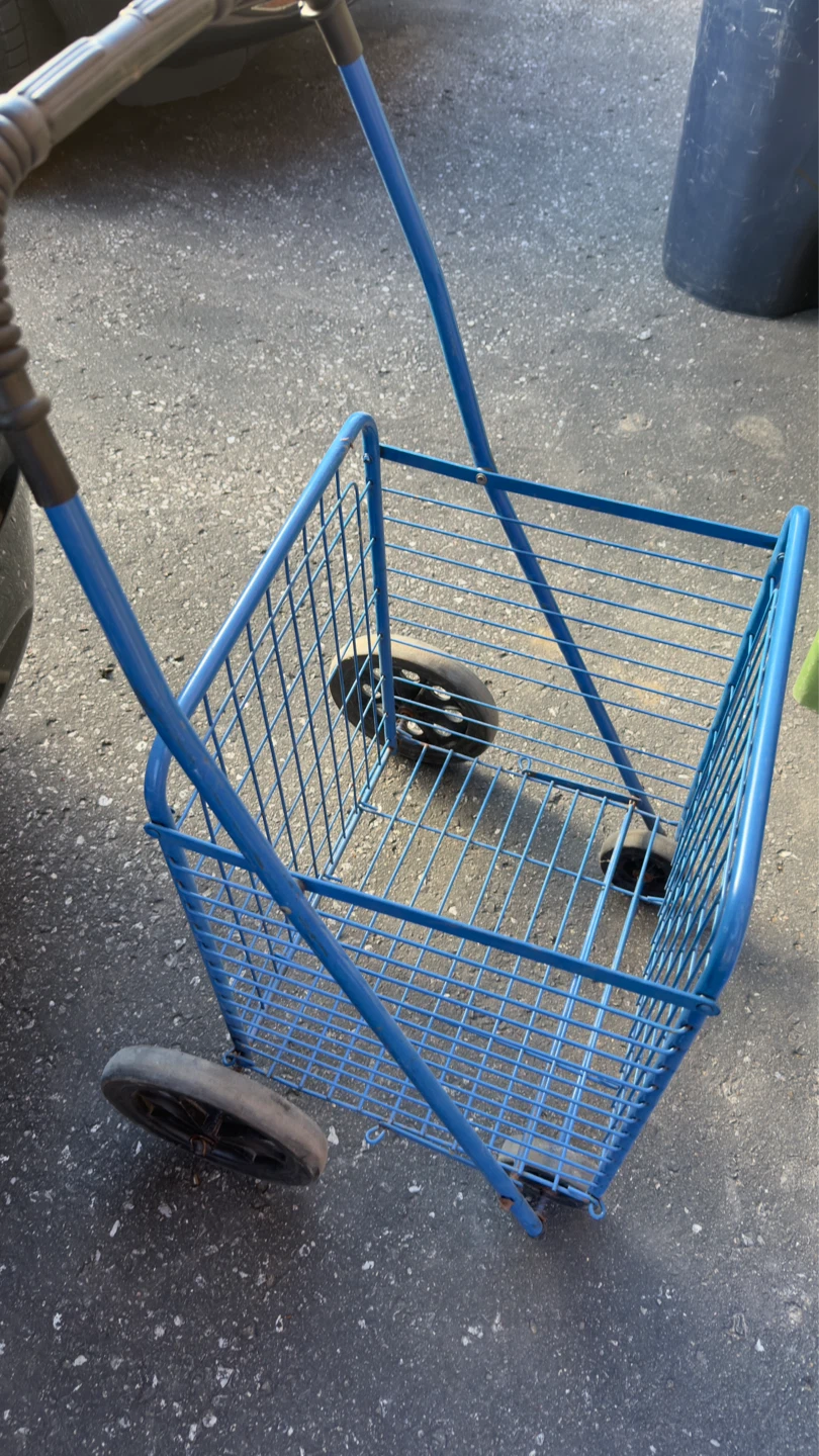 Blue Wire Shopping Cart
