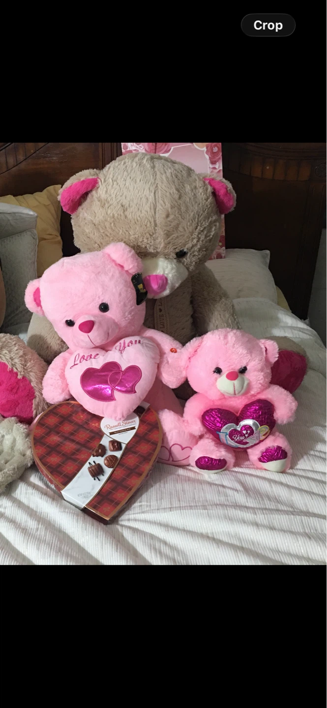 Russell Stover Heart Box of Chocolates