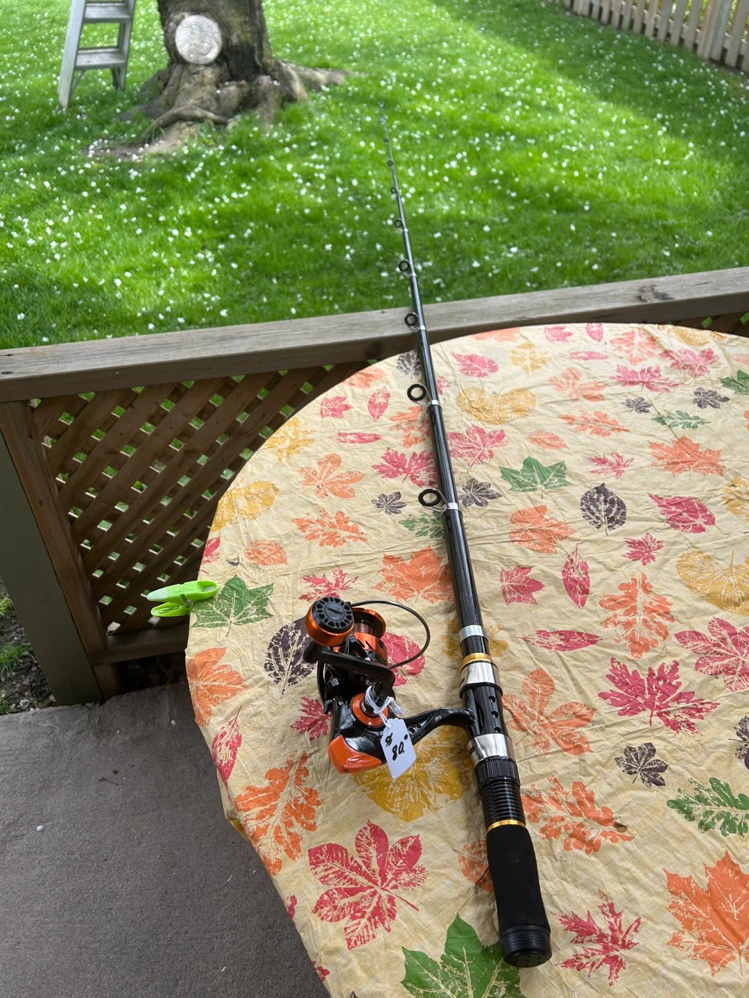 Fishing Rod and Reel Combo - photo 3