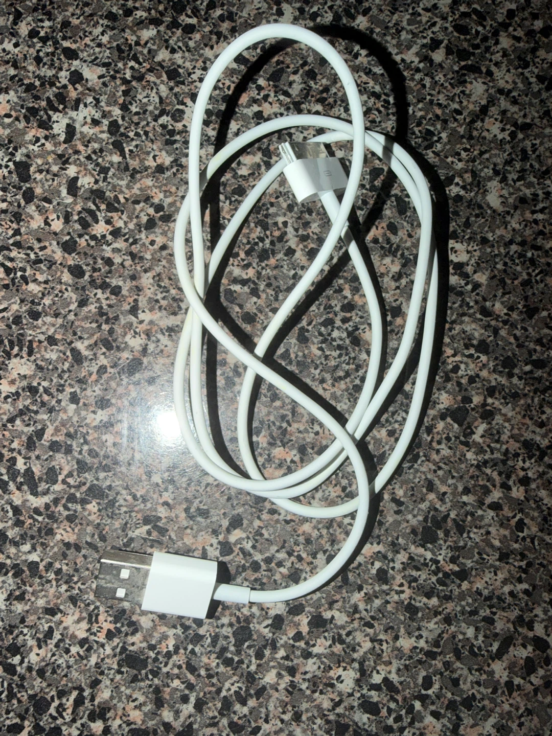Apple Lightning to USB Cable