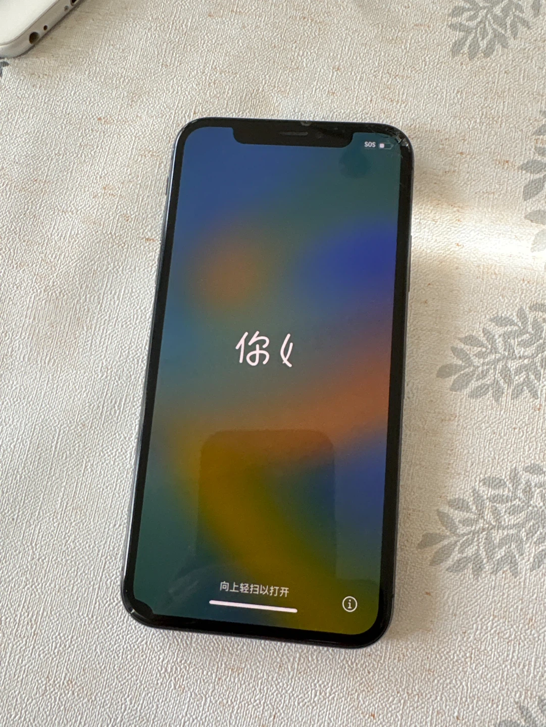 Apple iPhone X
