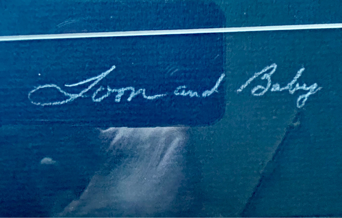 Robert Ward's "Loon and Baby" Photograph, 21/25 - photo 5