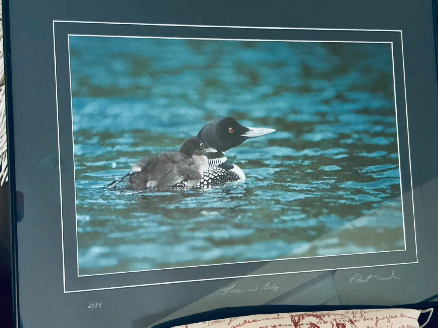 Robert Ward's "Loon and Baby" Photograph, 21/25 - photo 2