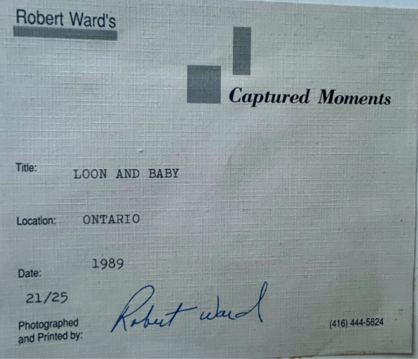 Robert Ward's "Loon and Baby" Photograph, 21/25 - photo 3