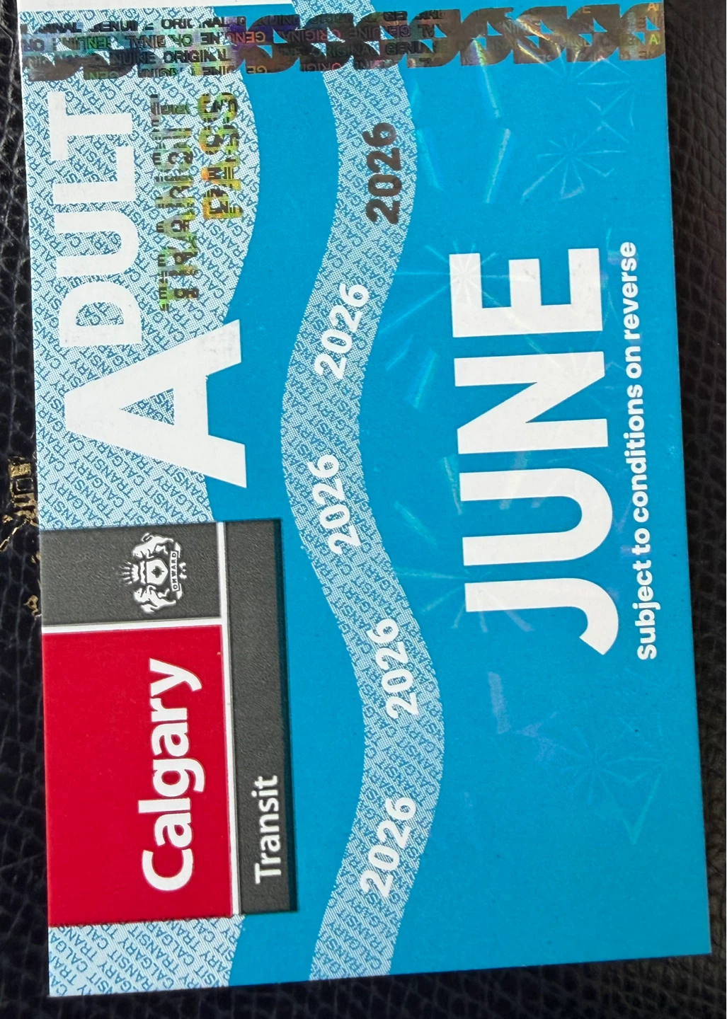 June bus pass