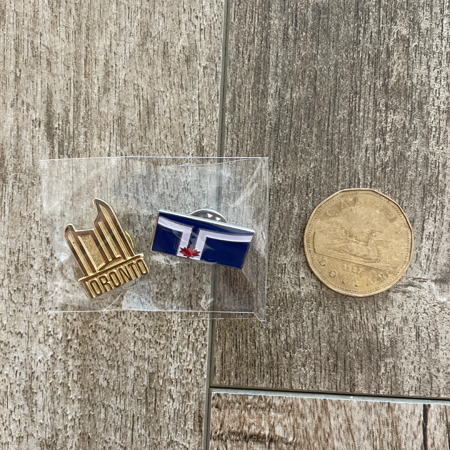BRAND NEW 🥕 Toronto Pins Set