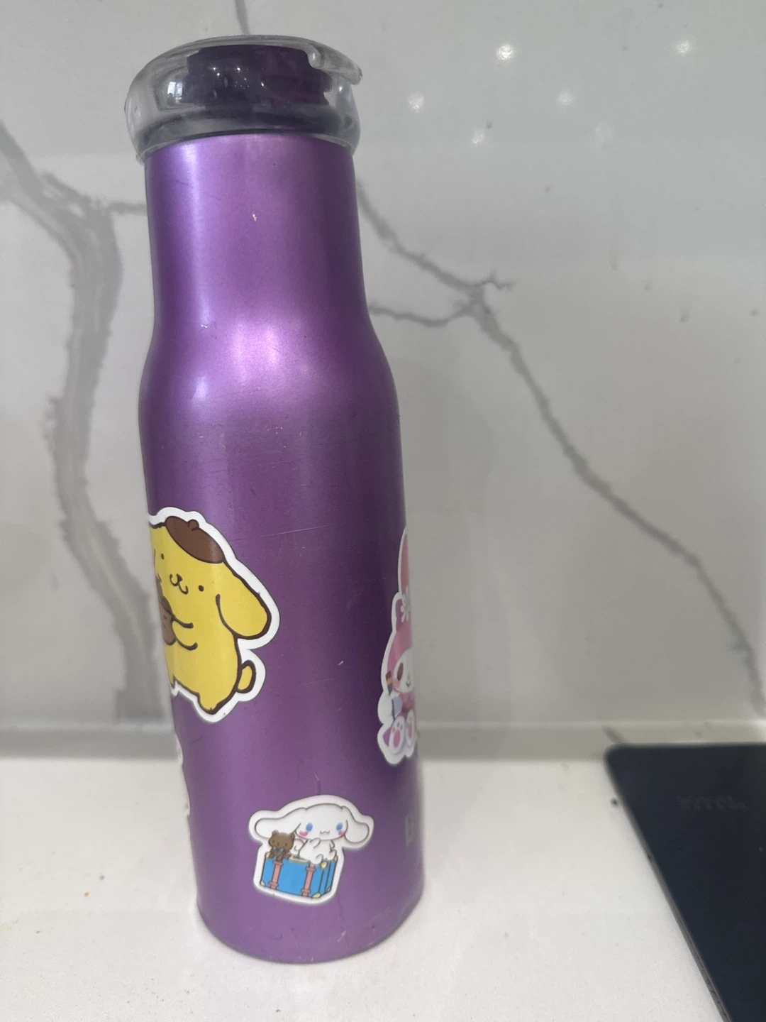 Purple Sanrio Character Water Bottle