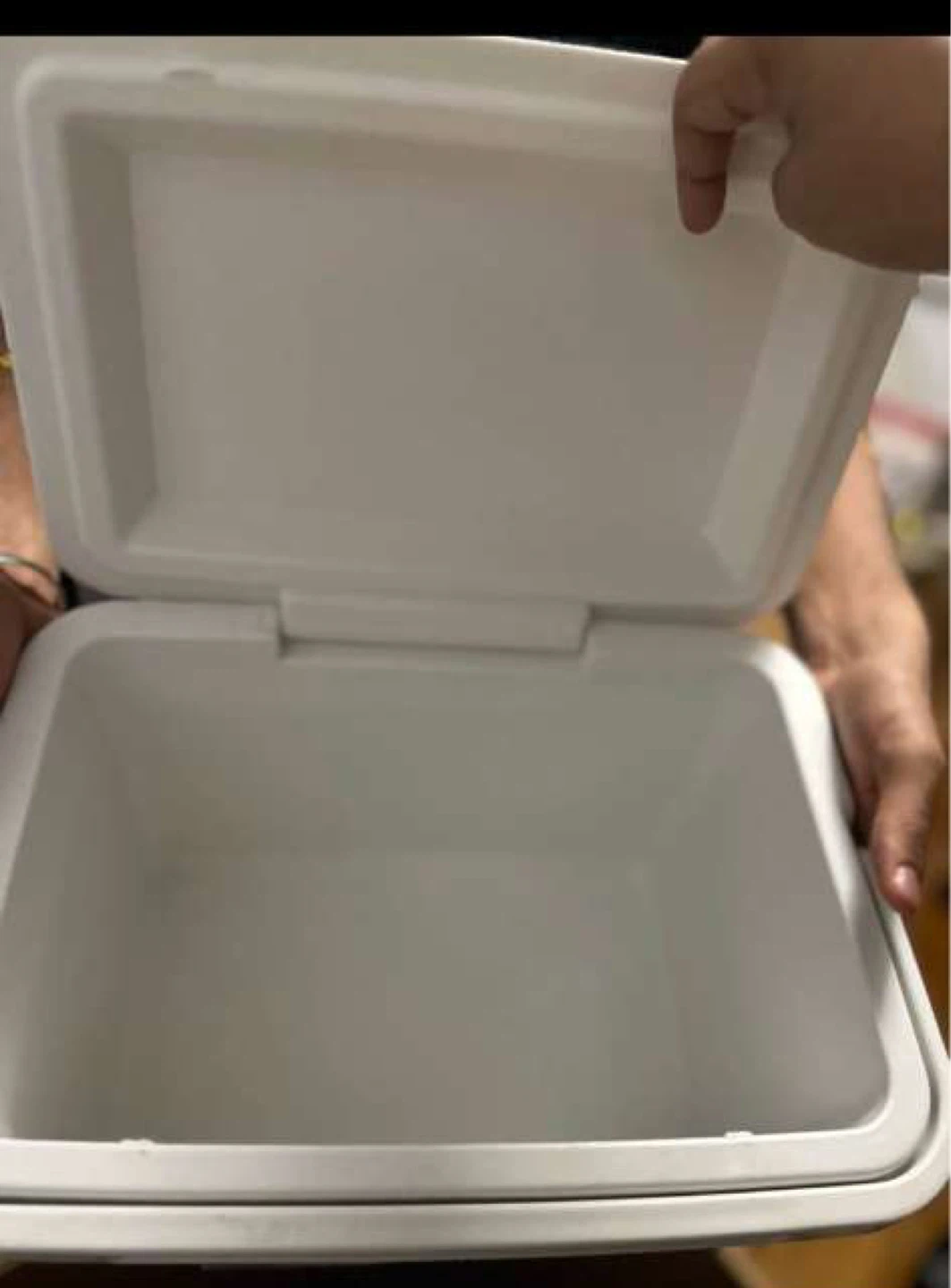 Cooler Box 8.5 Qt - photo 2