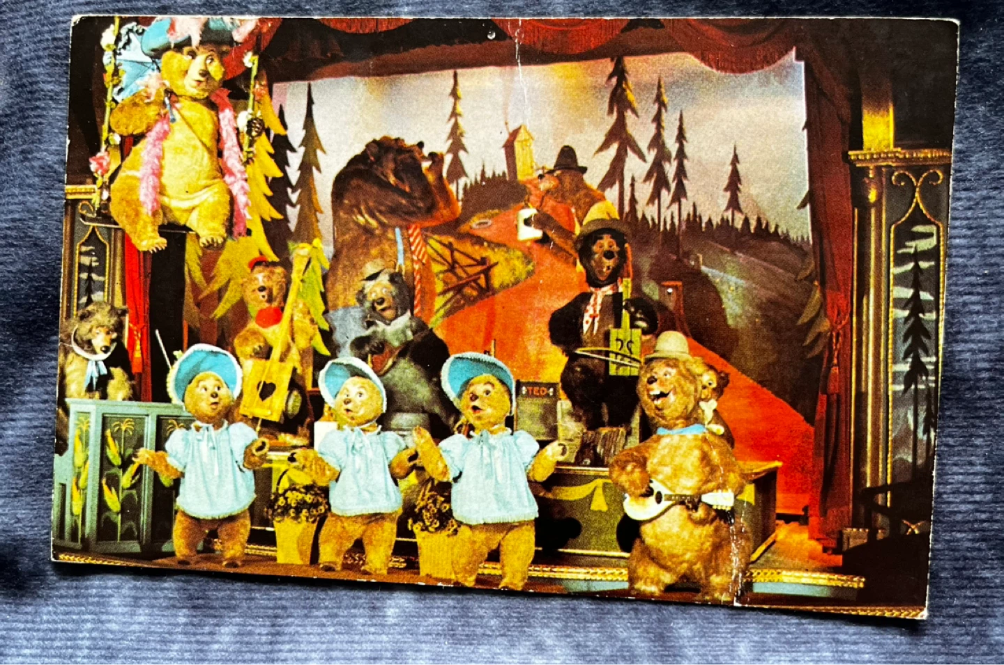 Bear Jamboree Postcard - Frontierland Grizzly Hall