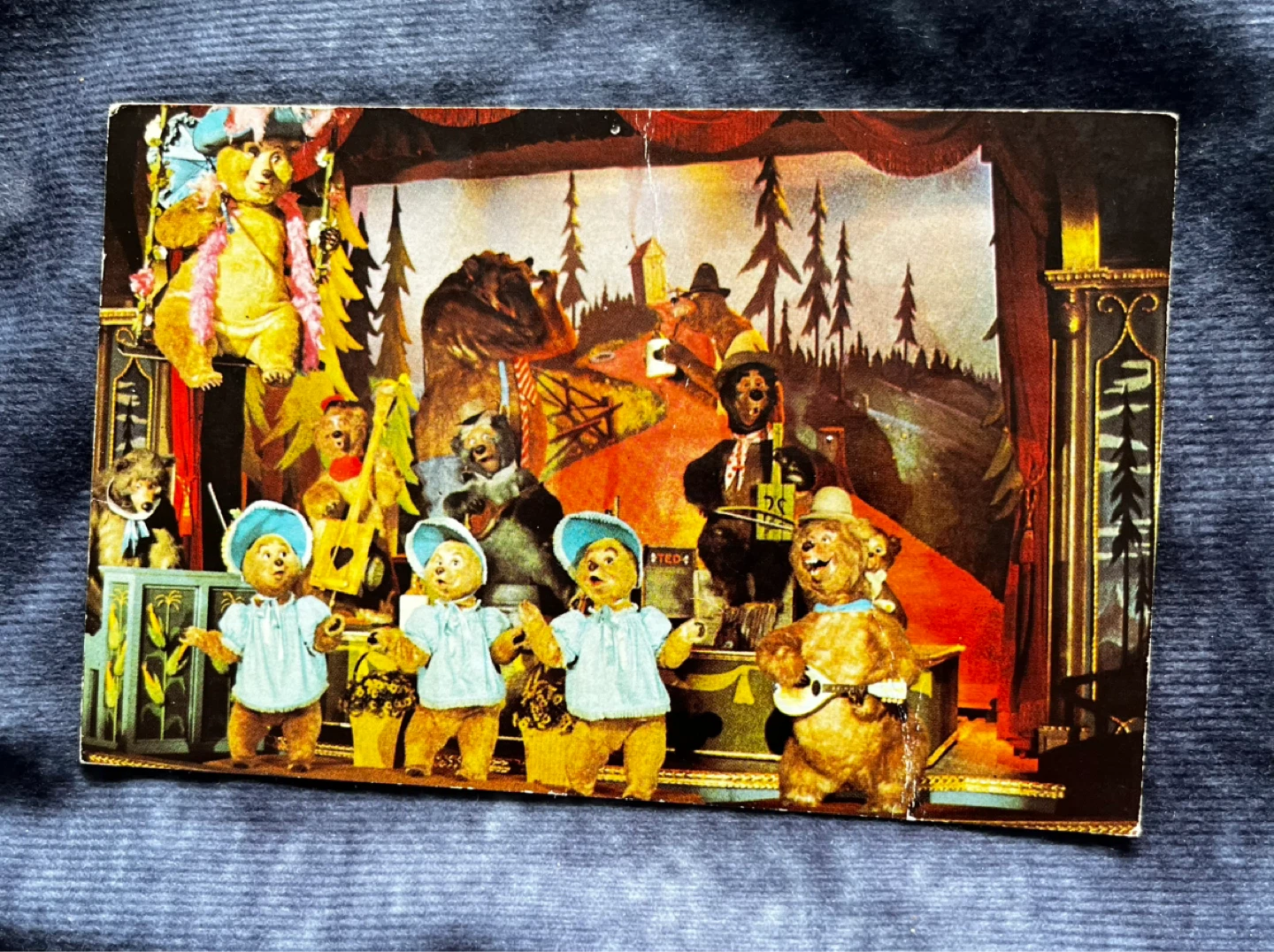 Bear Jamboree Postcard - Frontierland Grizzly Hall - photo 2