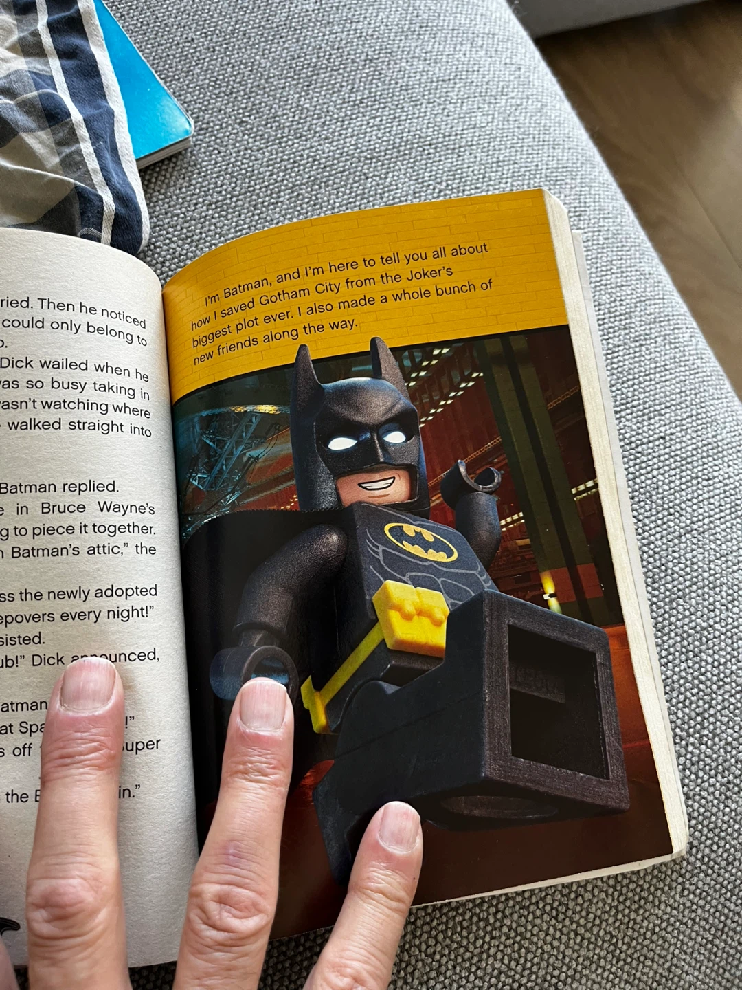 The LEGO Batman Movie Junior Novel - photo 2