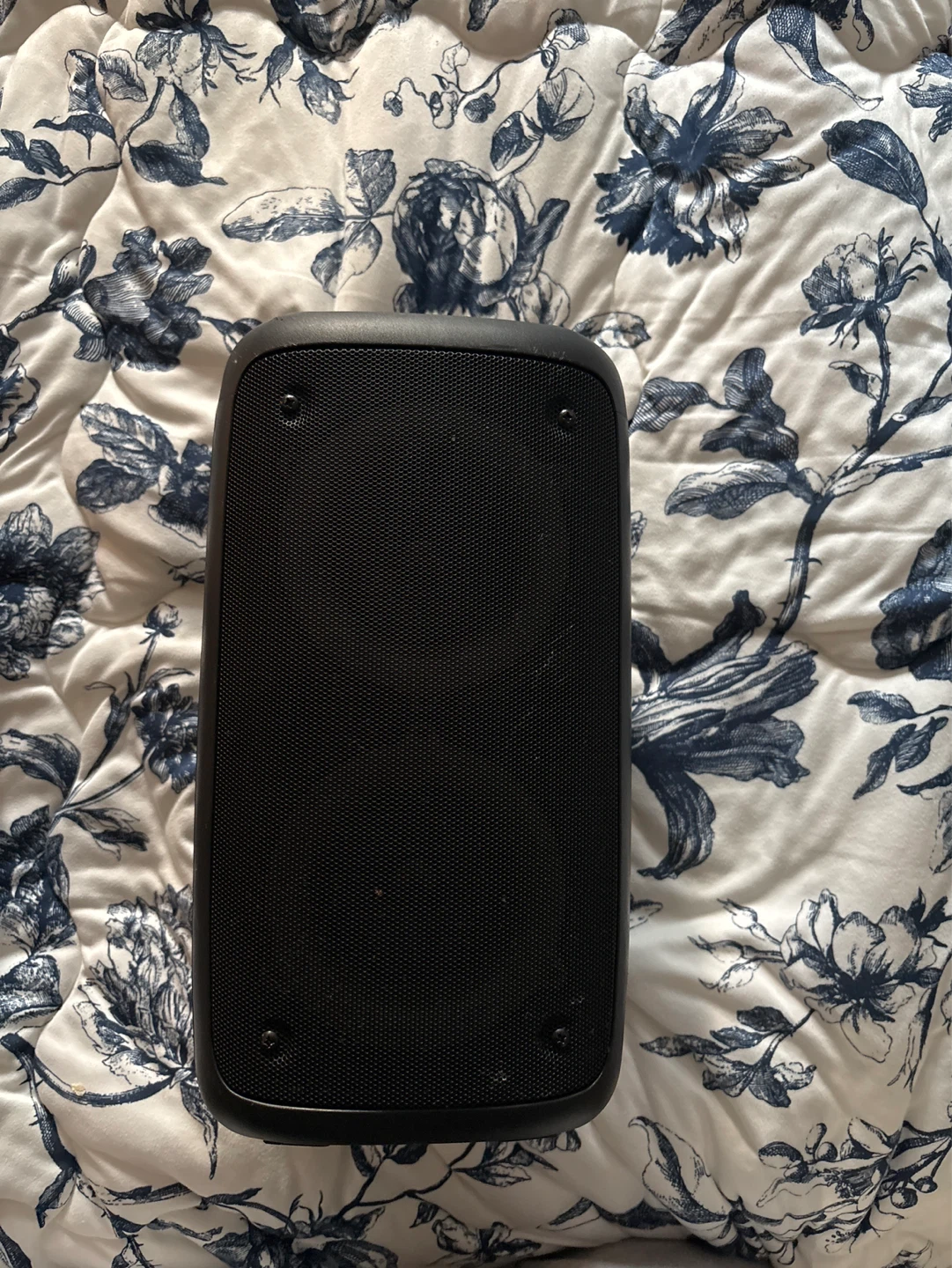 Party speaker