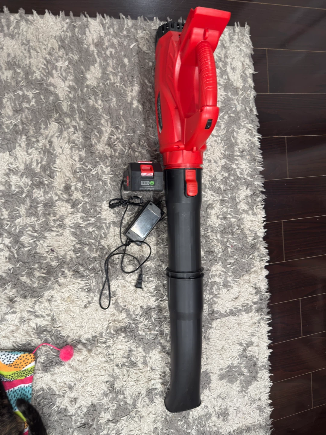 Lithium Electric Leaf Blower - photo 2
