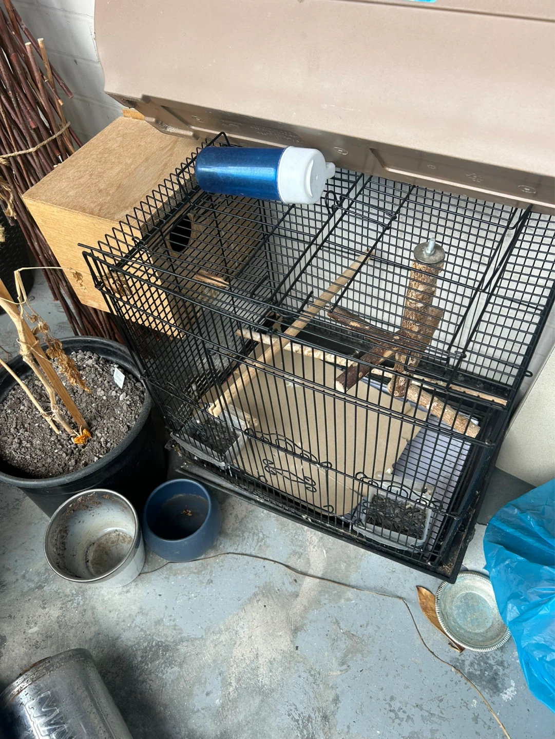 Bird Cage with Accessories and Food - photo 3