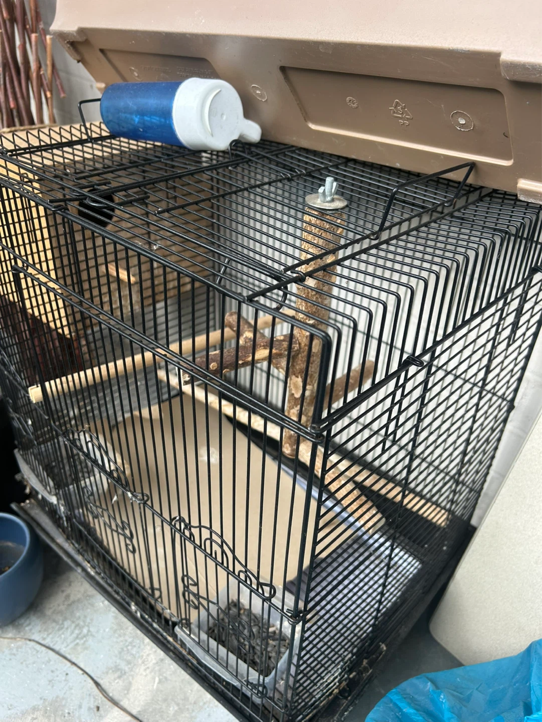 Bird Cage with Accessories and Food