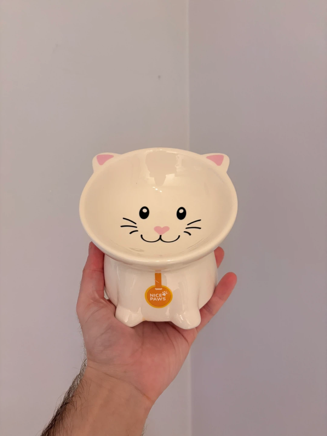 Ceramic Cat Bowl