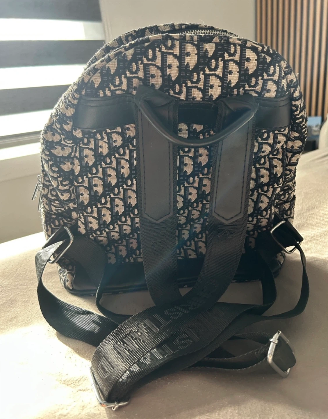 Dior Backpack - photo 2