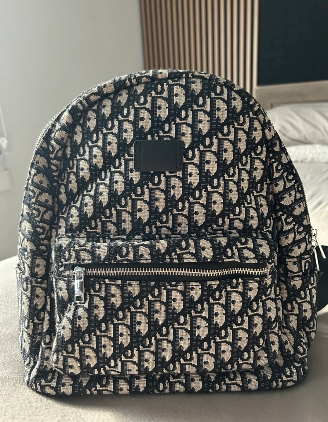 Dior Backpack