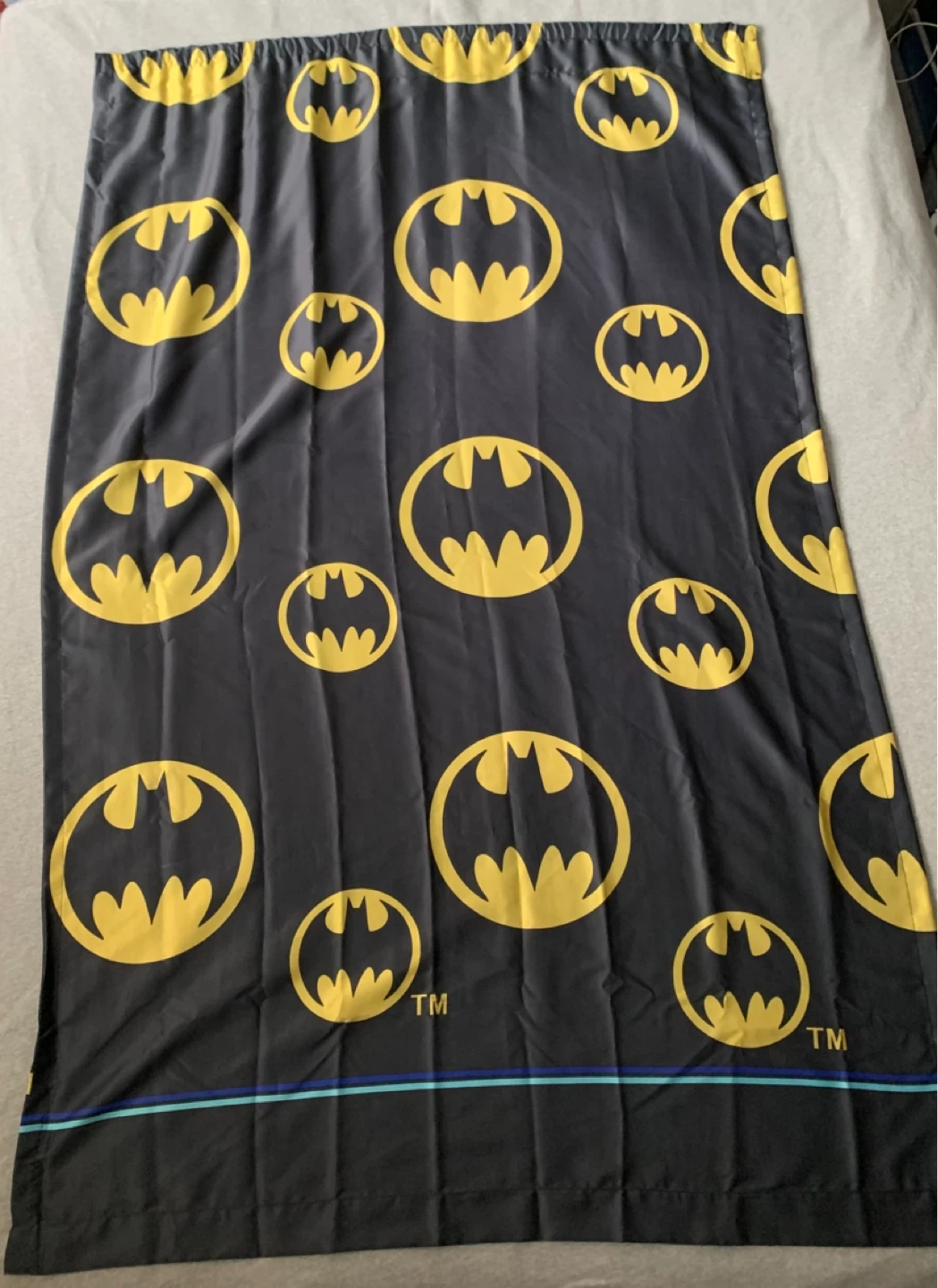 Batman Curtain Panels (2)