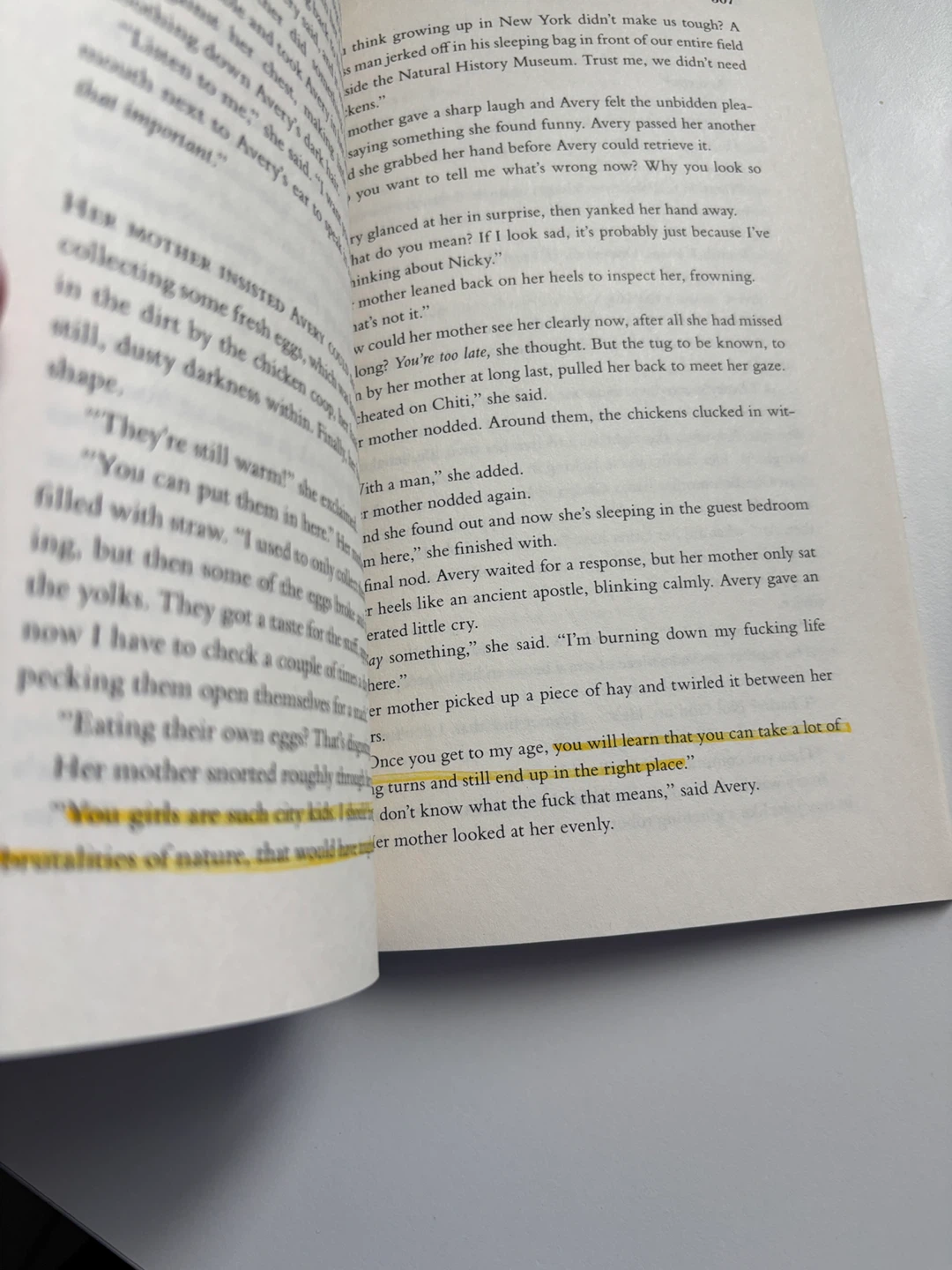 Blue Sisters A Novel by Coco Mellors - photo 3