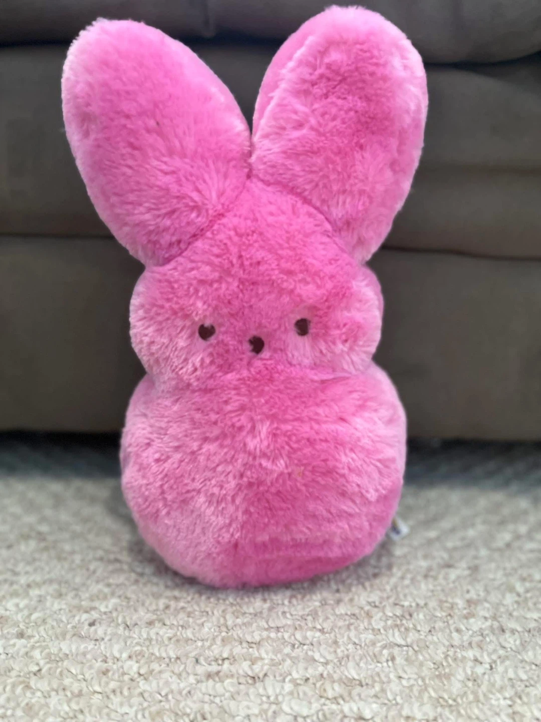 Pink Peep Plush Bunny resell. cash only!