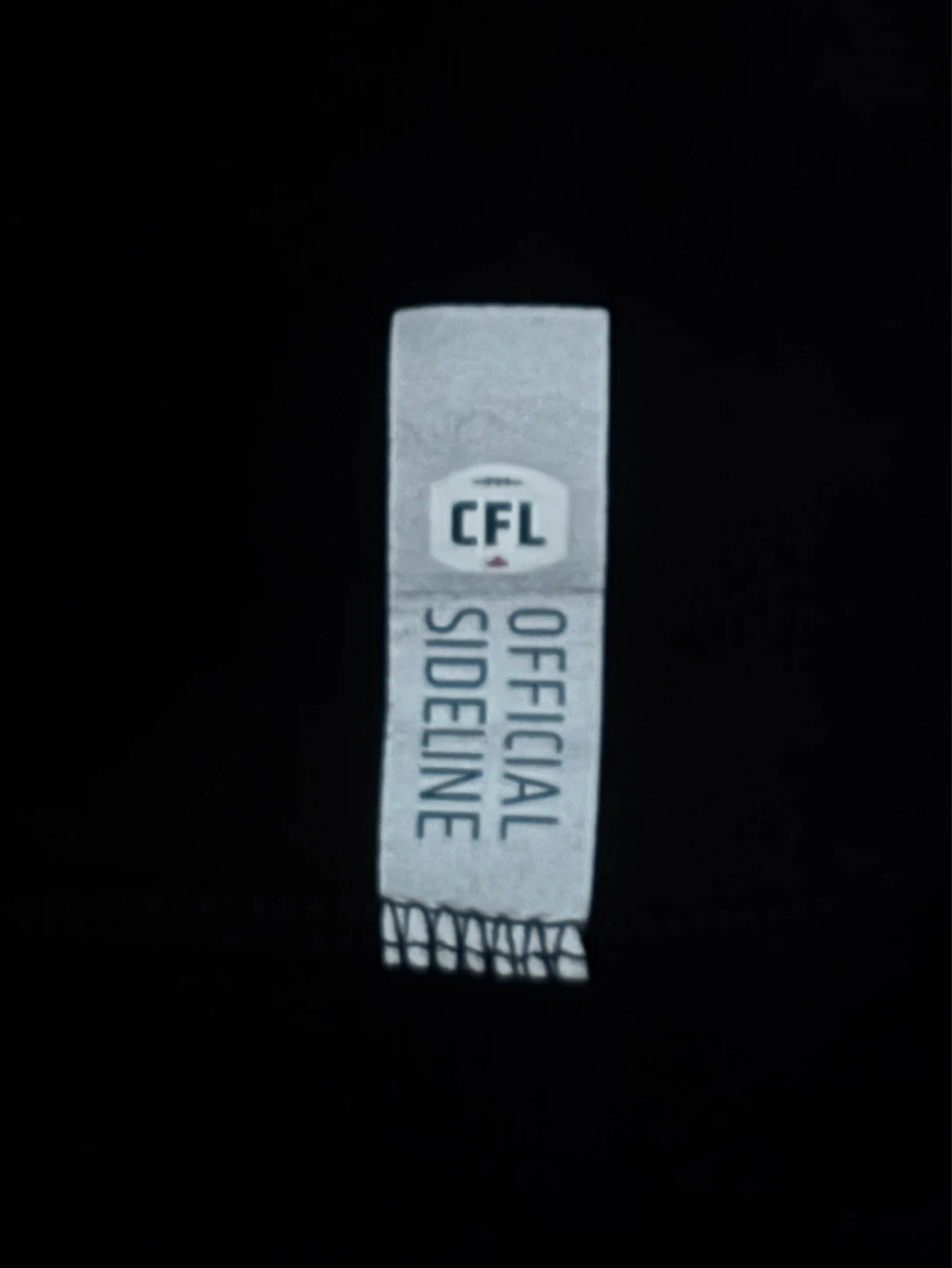 New Era CFL Winnipeg Blue Bombers Sleeveless Hoodie (2XL) - photo 3