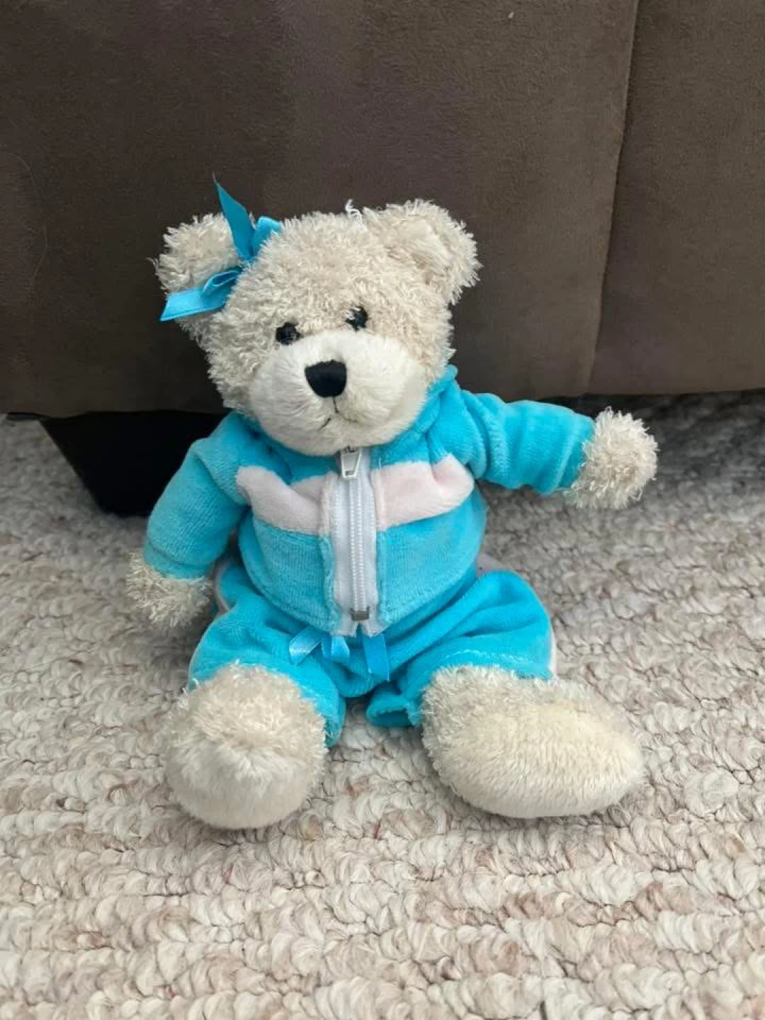 Little teddy bear plush with blue tracksuit.