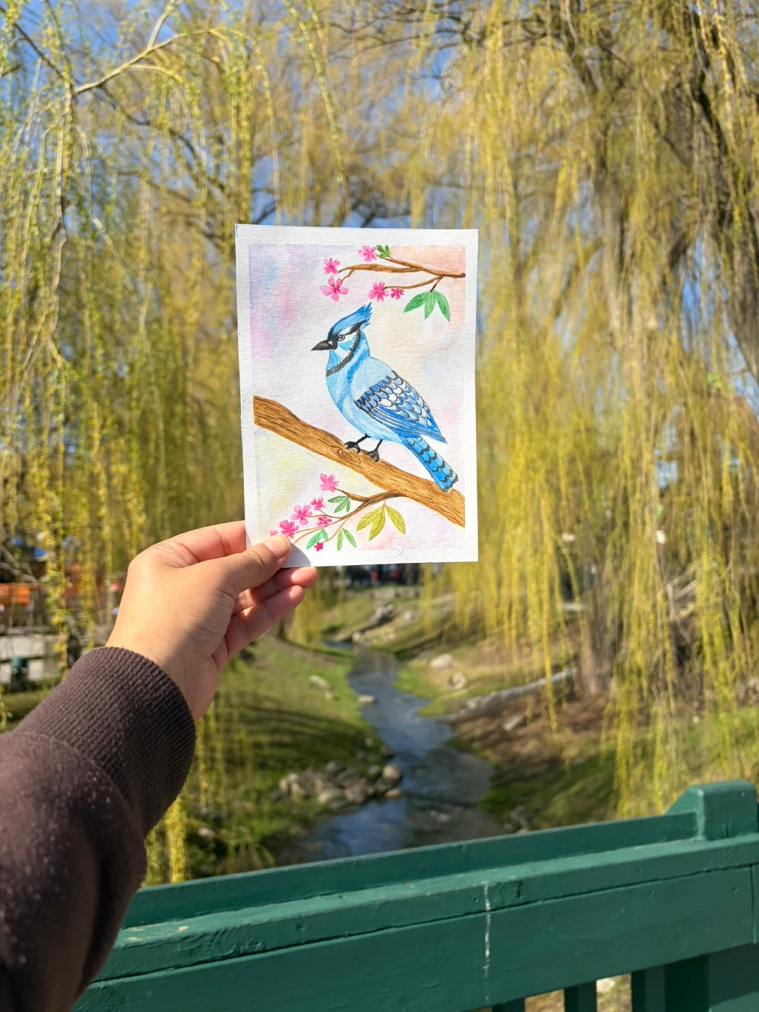 Handmade Blue Jay Artwork with Floral Design - photo 2