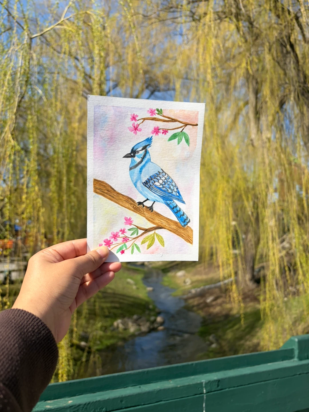 Handmade Blue Jay Artwork with Floral Design