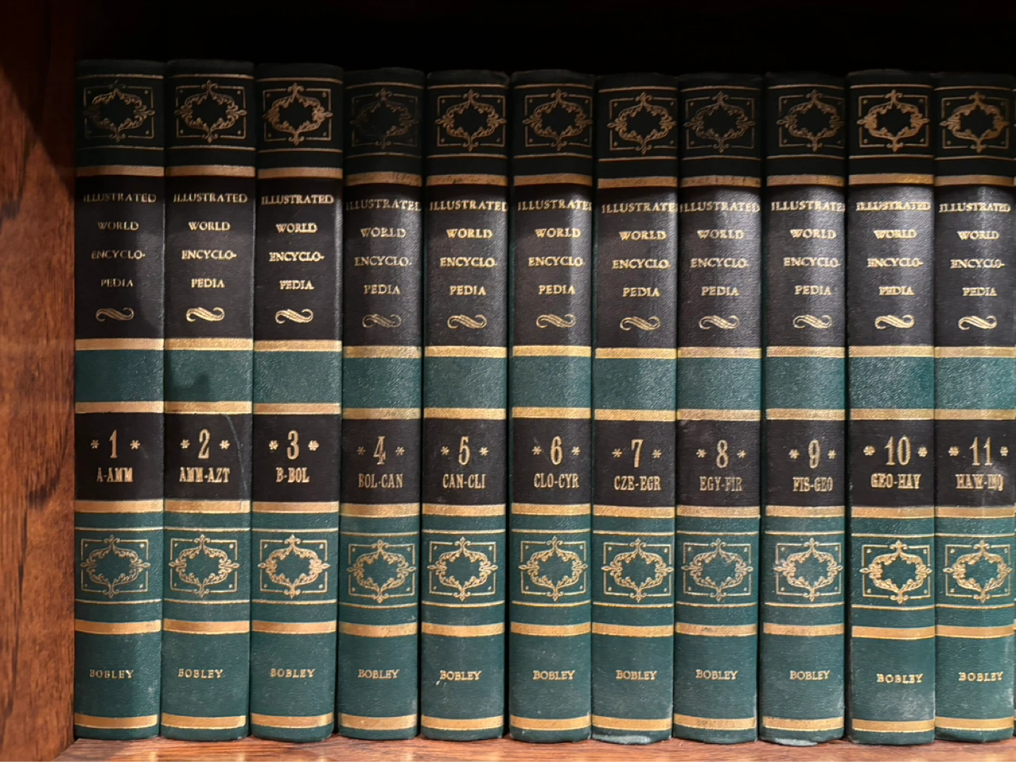 The Illustrated World Encyclopedia - photo 3