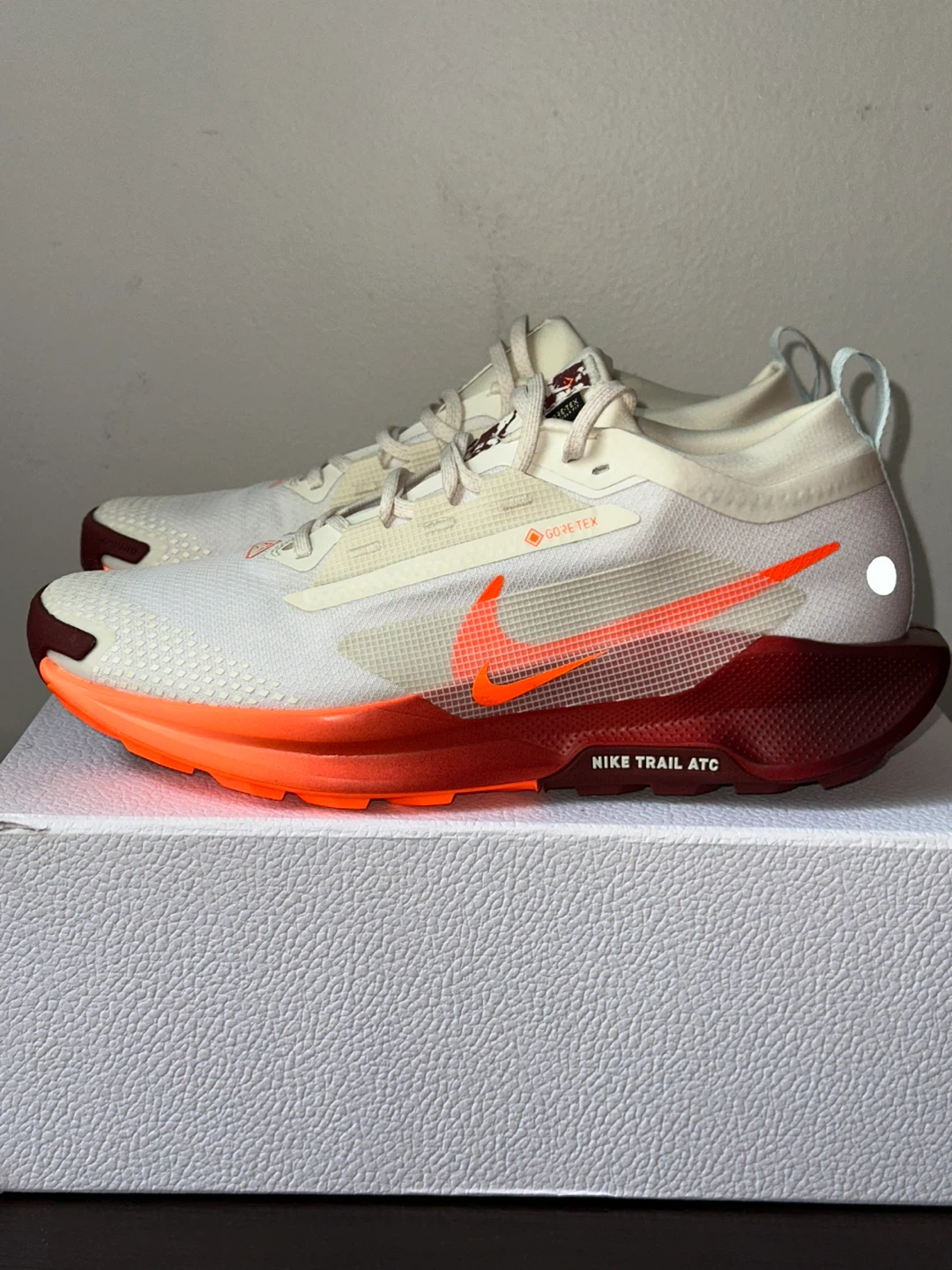 Nike Pegasus Trail 3 GORE-TEX Men's Running Shoes