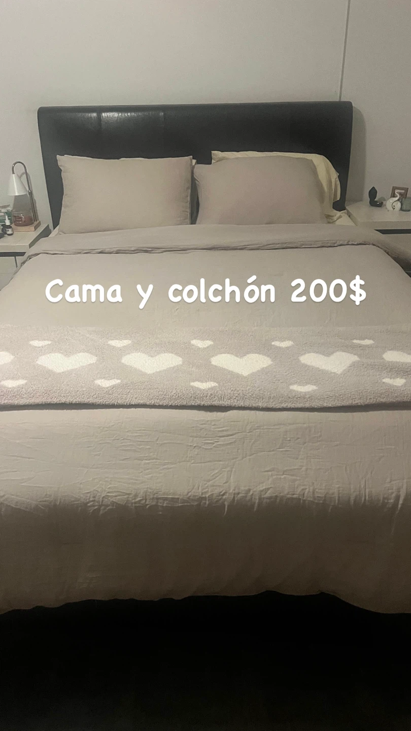 Bed Frame and Mattress