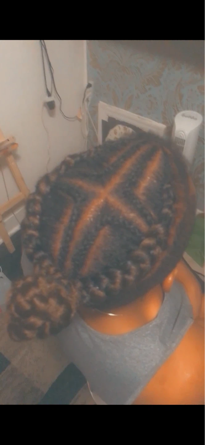 Braids with extensions
