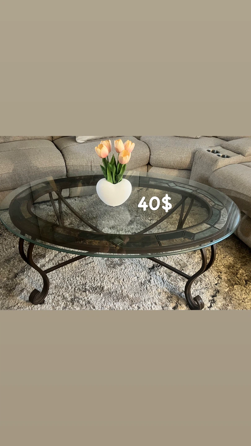 Oval Glass Top Coffee Table with Metal Base