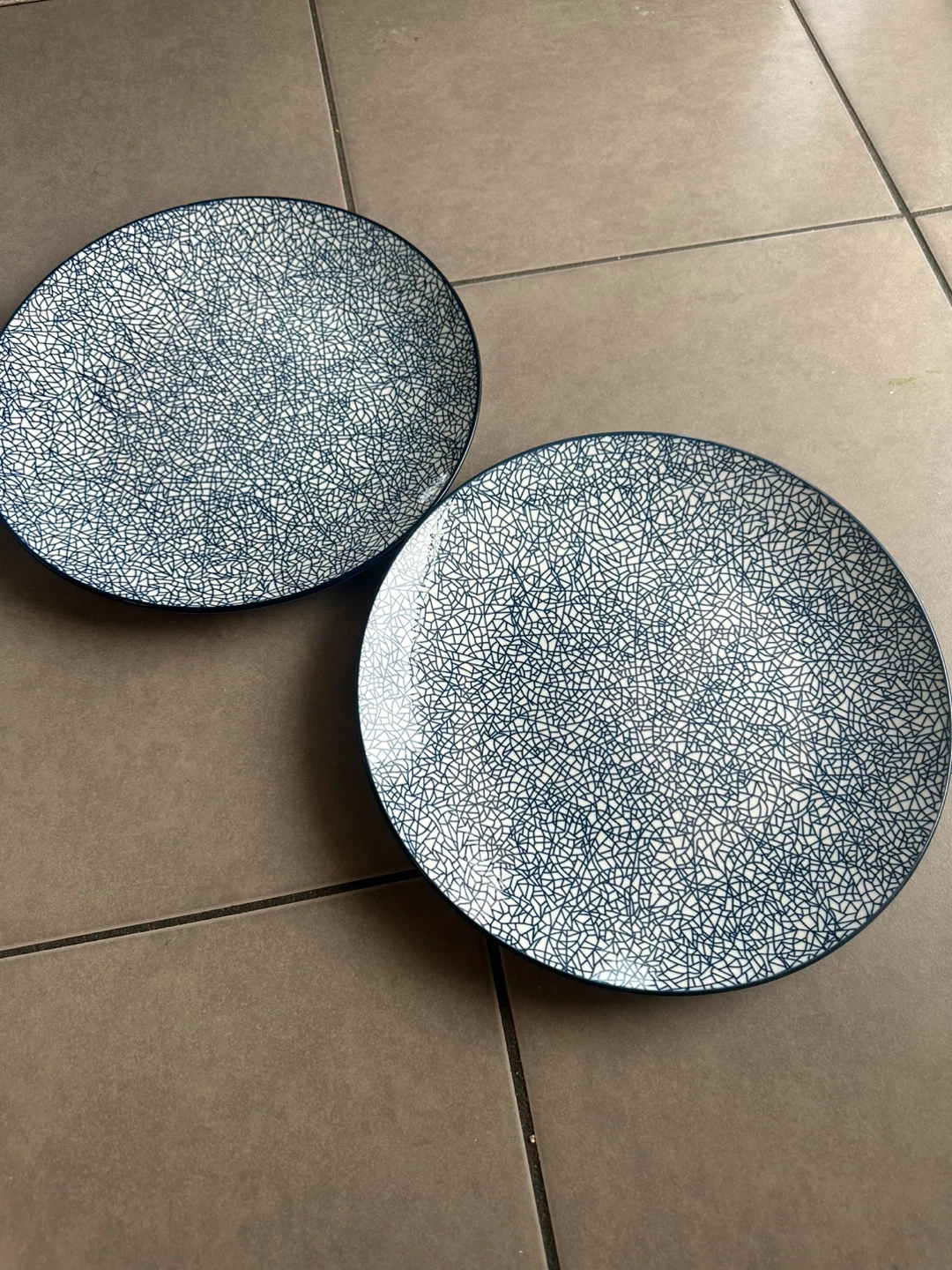 Set of 2 Dinner Plates Blue & White Cracked Pattern