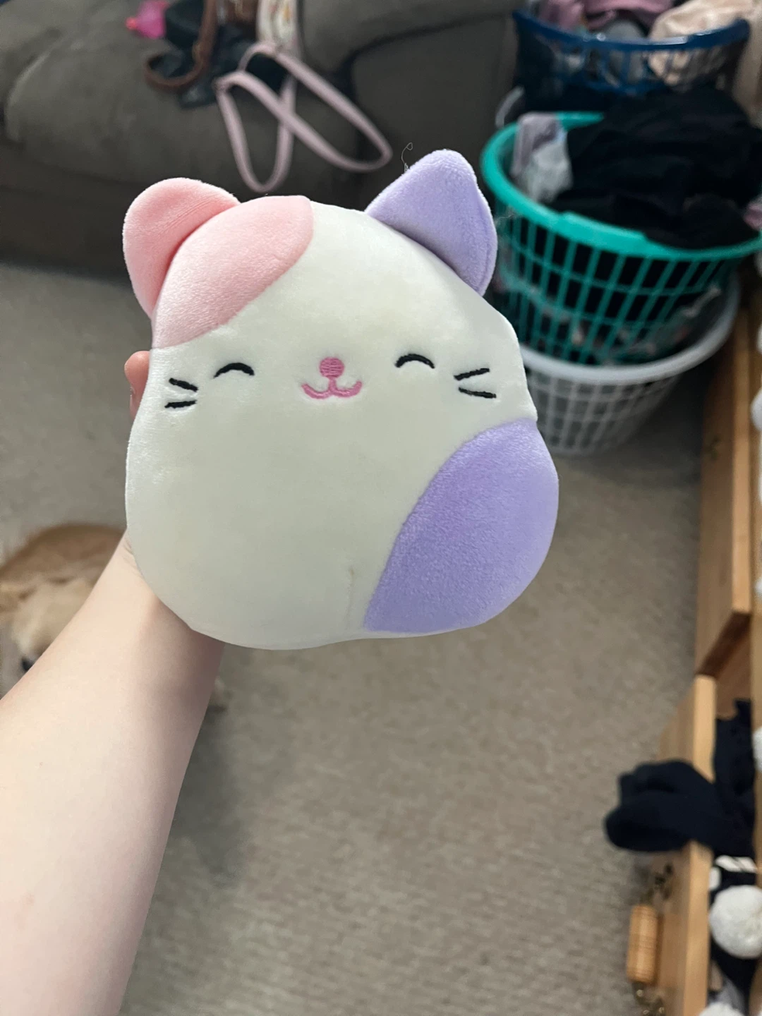 Small Squishmallows Cat Plush Toy