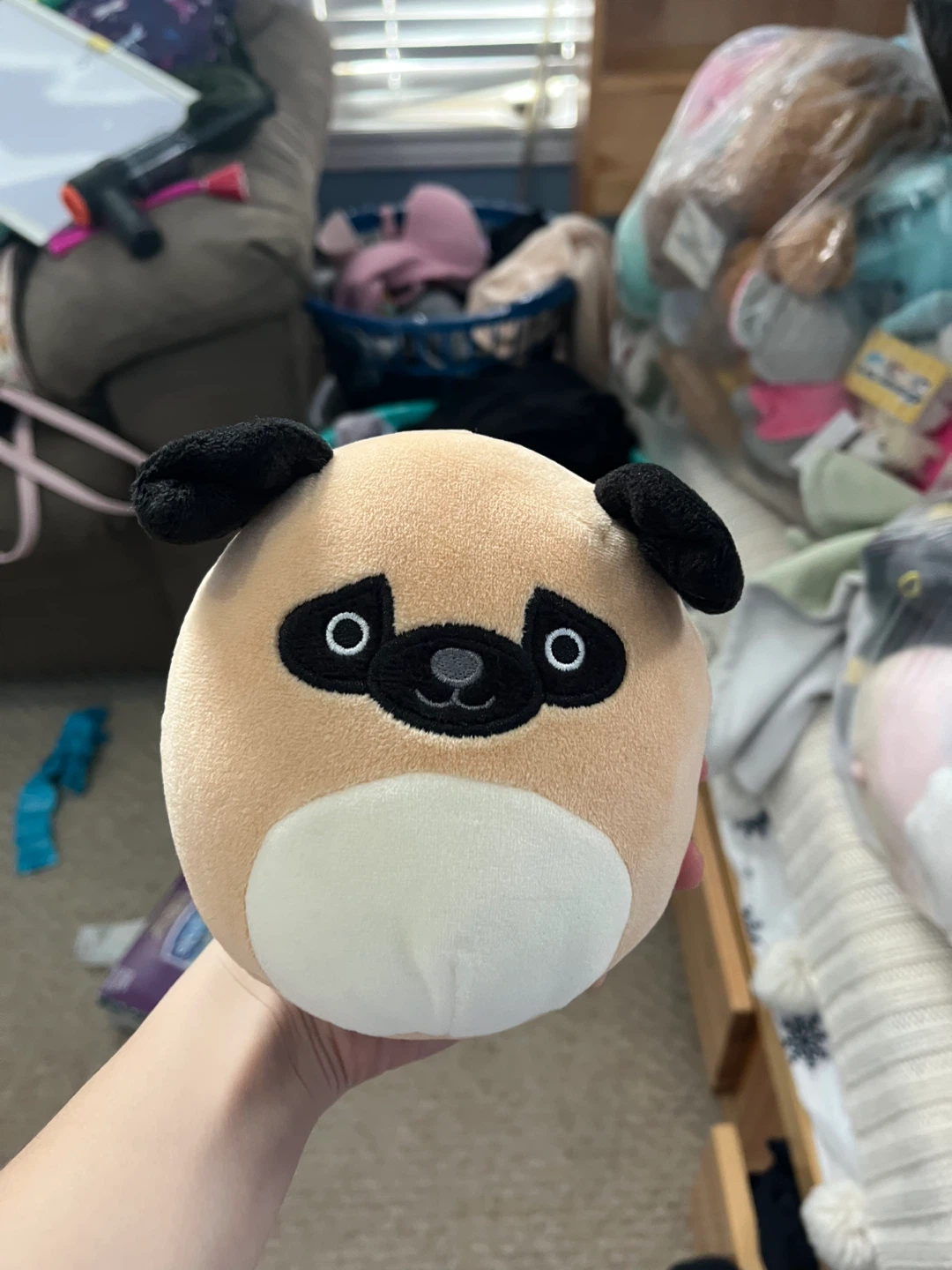 Squishmallow Pug Plush Toy