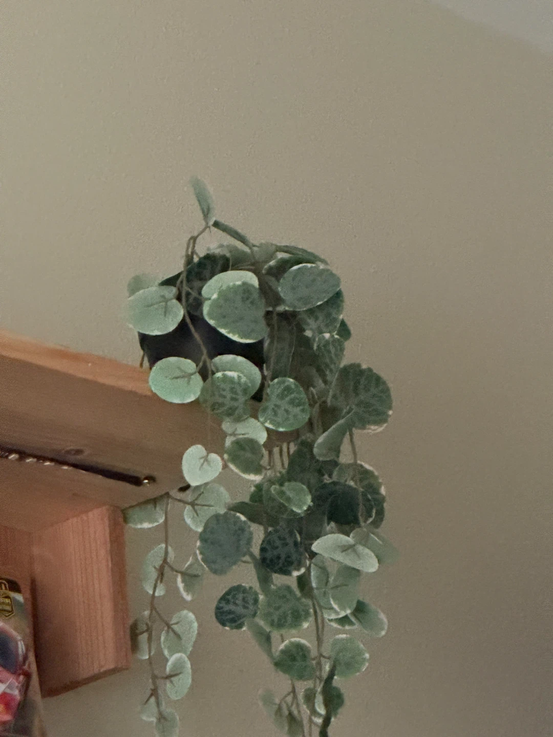 Fake hanging plants - photo 2