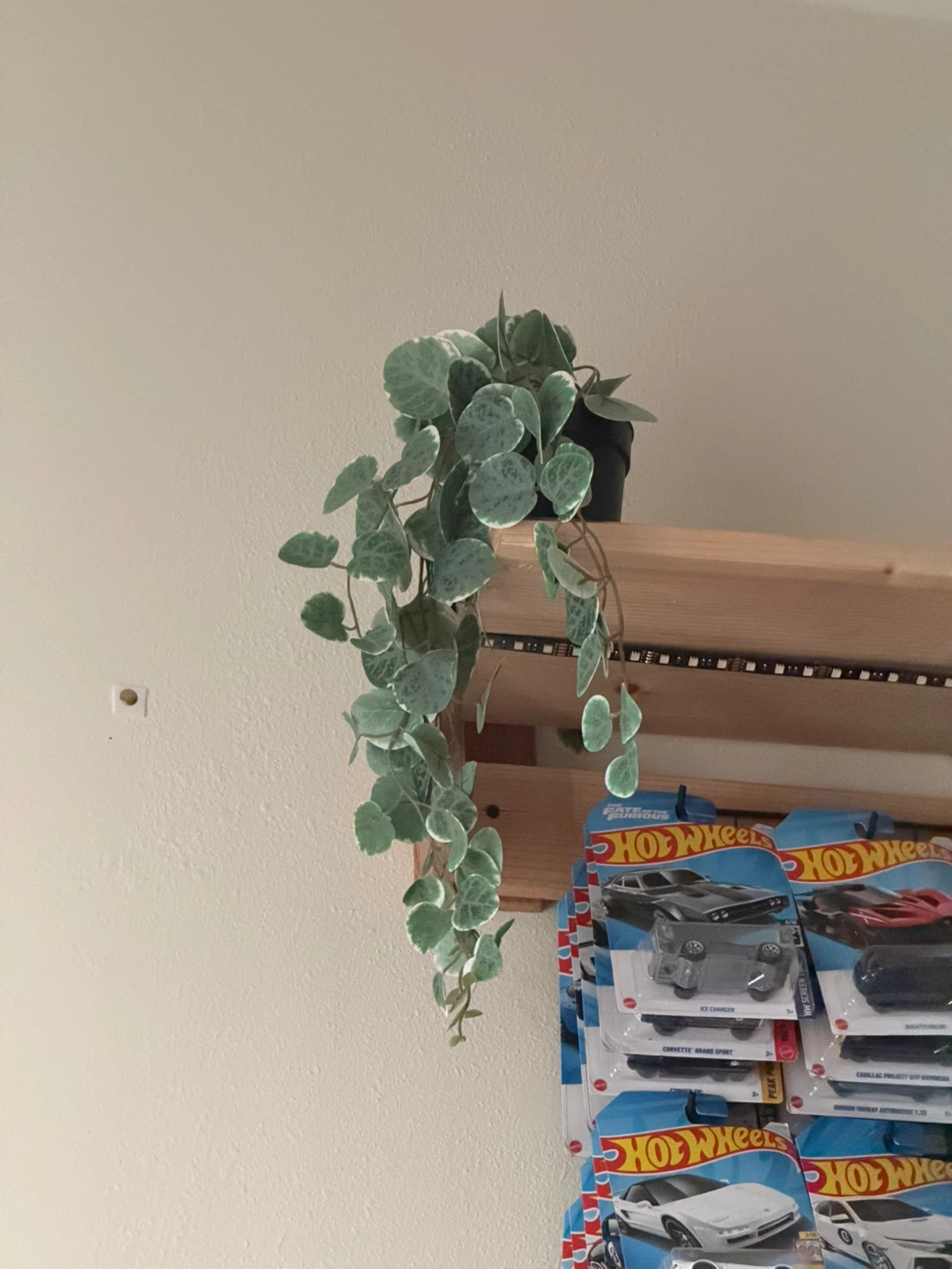 Fake hanging plants