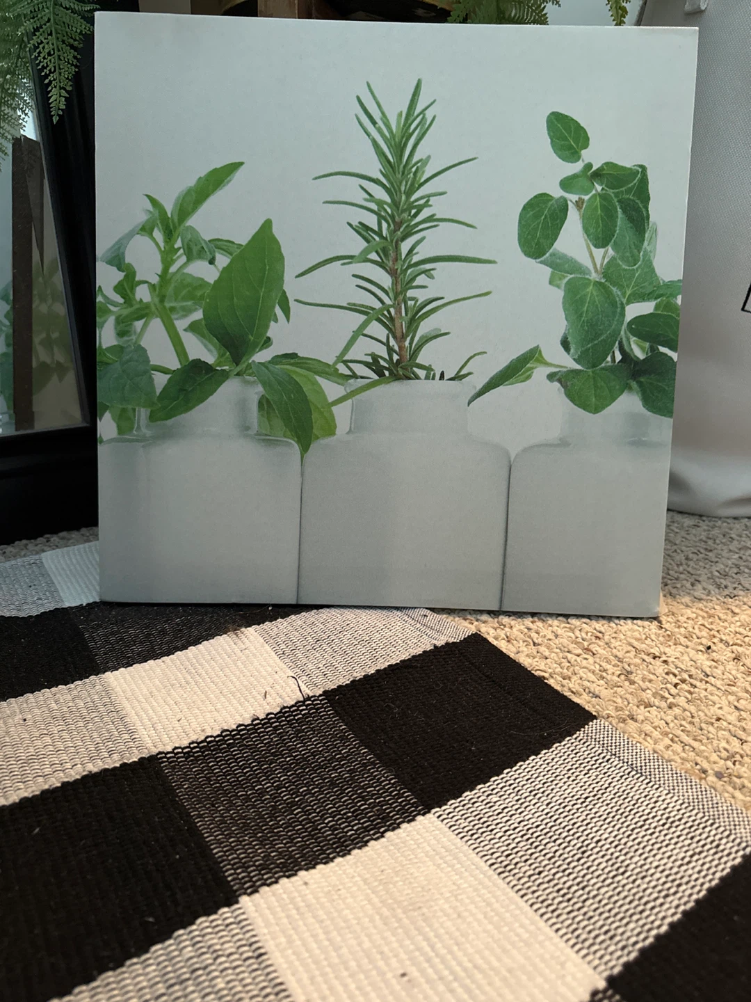 Canvas Print of Herbs in Vases